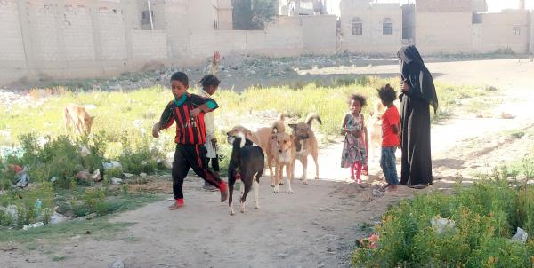 تزايد عدد الإصابات بداء الكلب بين الأطفال في إب