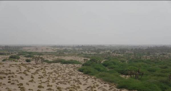 المليشيات تستهدف مواقع المقاومة في الجبلية