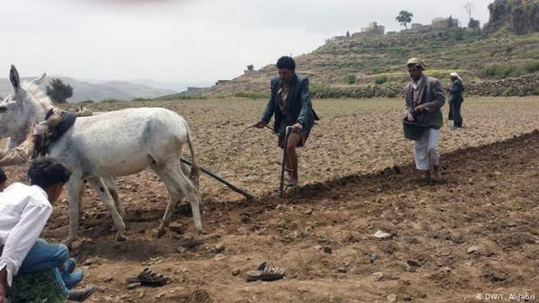 تقرير:الحوثيون يقضون على ثلث الإنتاج الزراعي