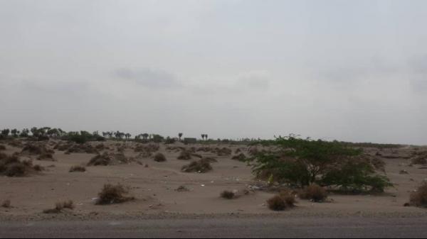 قصف مدفعي لمليشيات الحوثي على مواقع المقاومة في الجبلية