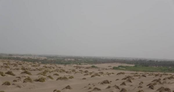مليشيات الحوثي تستهدف مواقع المقاومة في مناطق الجبلية والطور