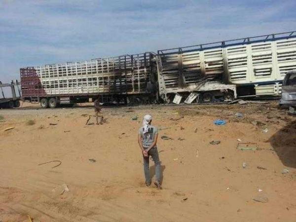 قتلى وجرحى في حملة إخوانية تستهدف قبليين يطالبون بالتعويض