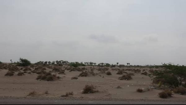 مليشيات الحوثي تجدد استهدافها مواقع القوات المشتركة في الجبلية